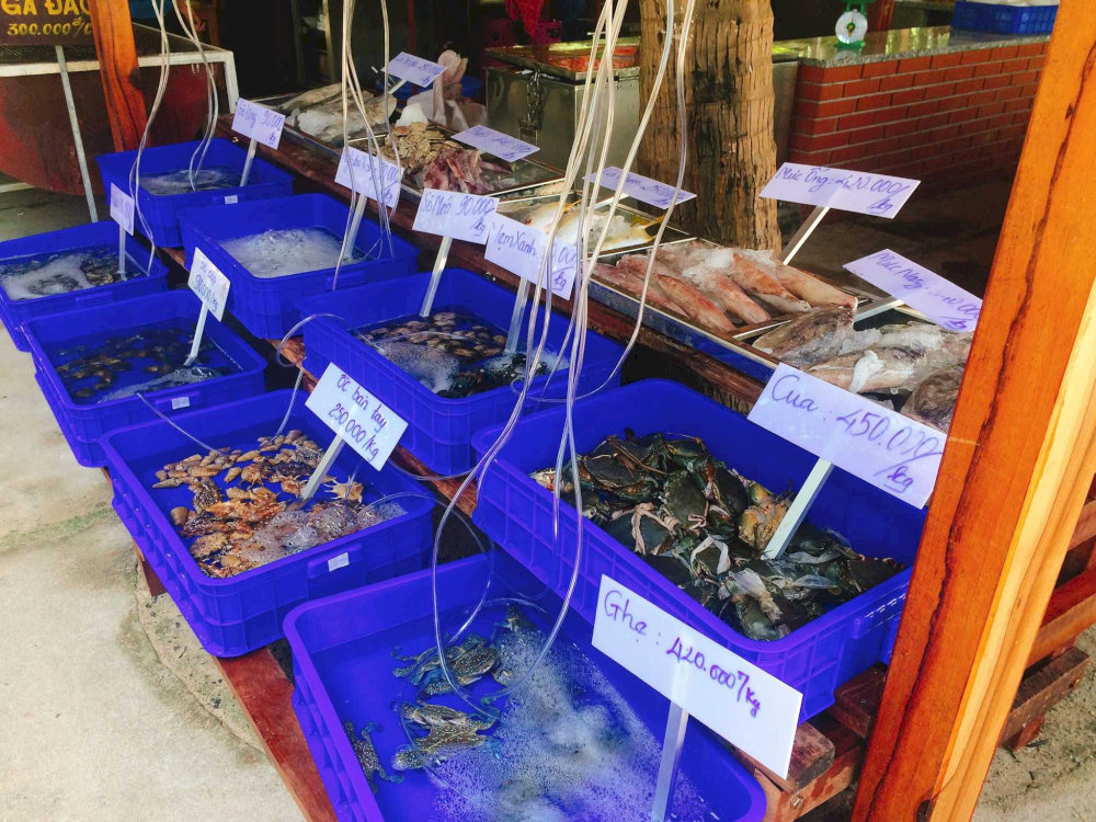 The seafood on the island is freshly caught by local fishermen, making it very fresh and delicious.
